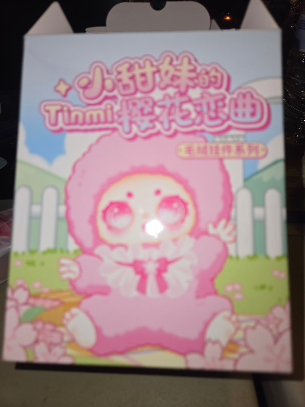 Confirmed blind box Tinmi