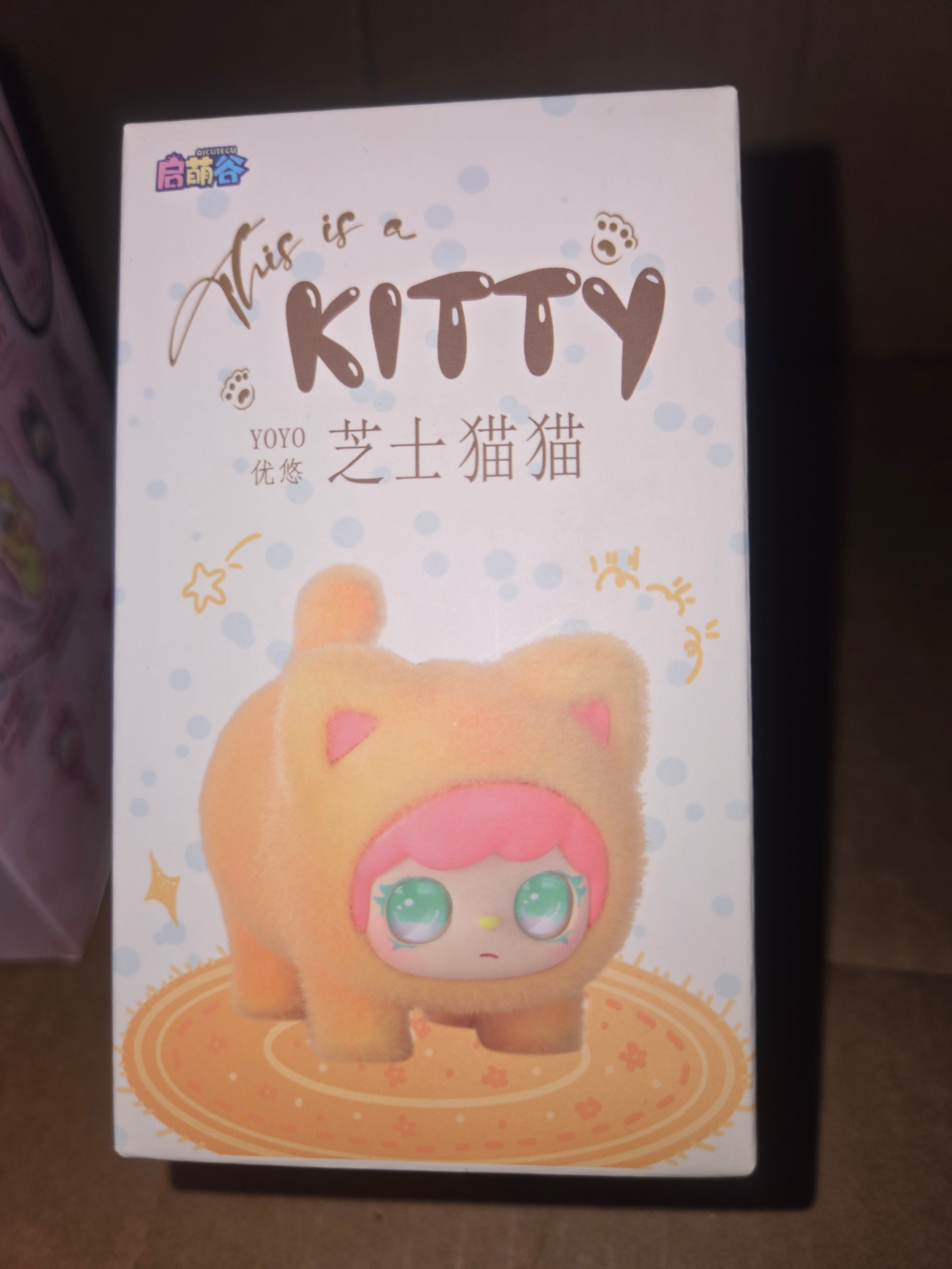 Blind box- This is a Kitty
