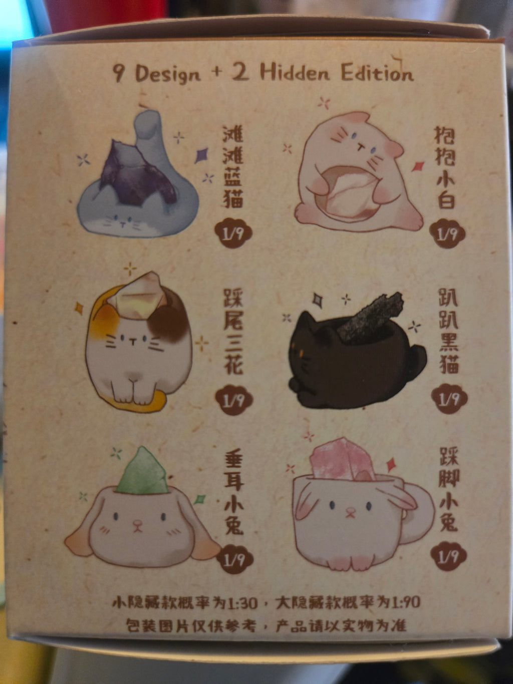 Cat Pal blind box